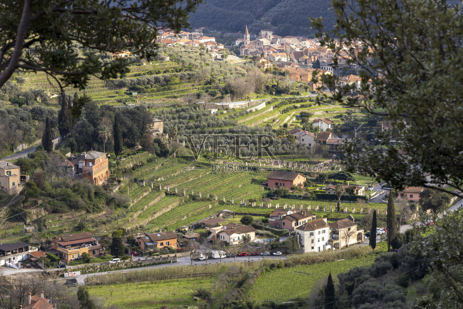 春季乡村风景和村庄的高空视角照片摄影图片