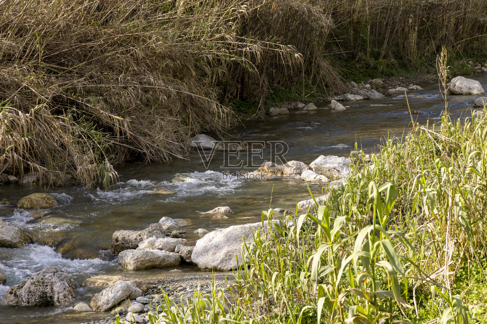 河流穿过郁郁葱葱的风景照片摄影图片