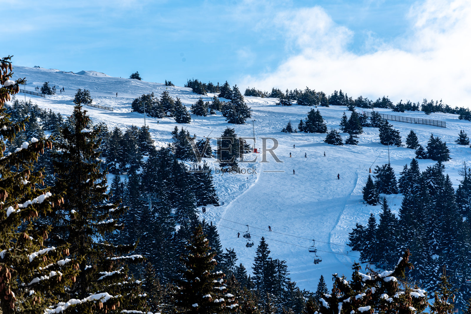 雪覆盖的山脉风景,松树与滑雪坡道相映成趣照片摄影图片