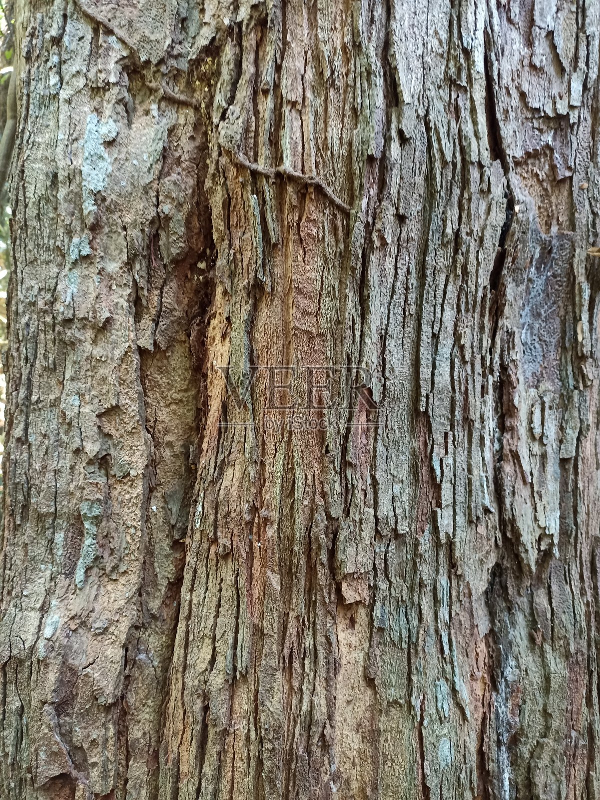 木纹背景照片摄影图片