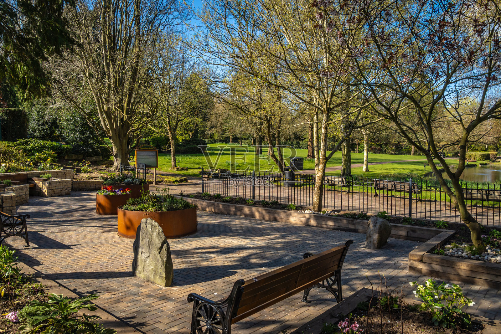 斯温登的女王公园里的花朵照片摄影图片