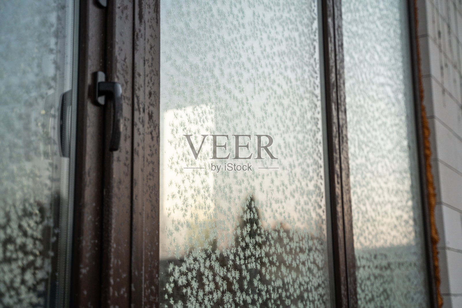 早晨窗户上的霜花图案照片摄影图片