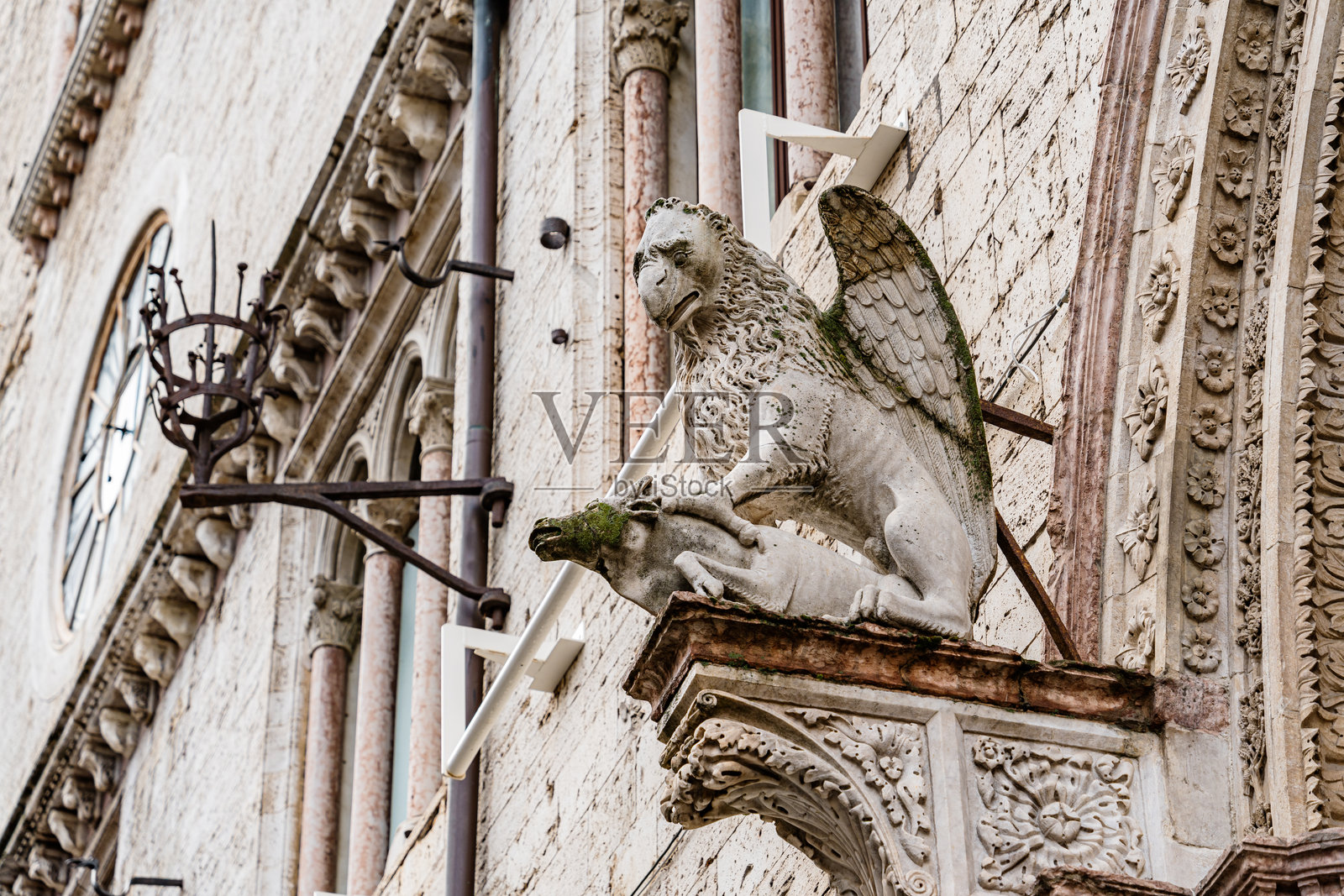 意大利翁布里亚佩鲁贾一座带翅膀的狮子雕像位于建筑上照片摄影图片