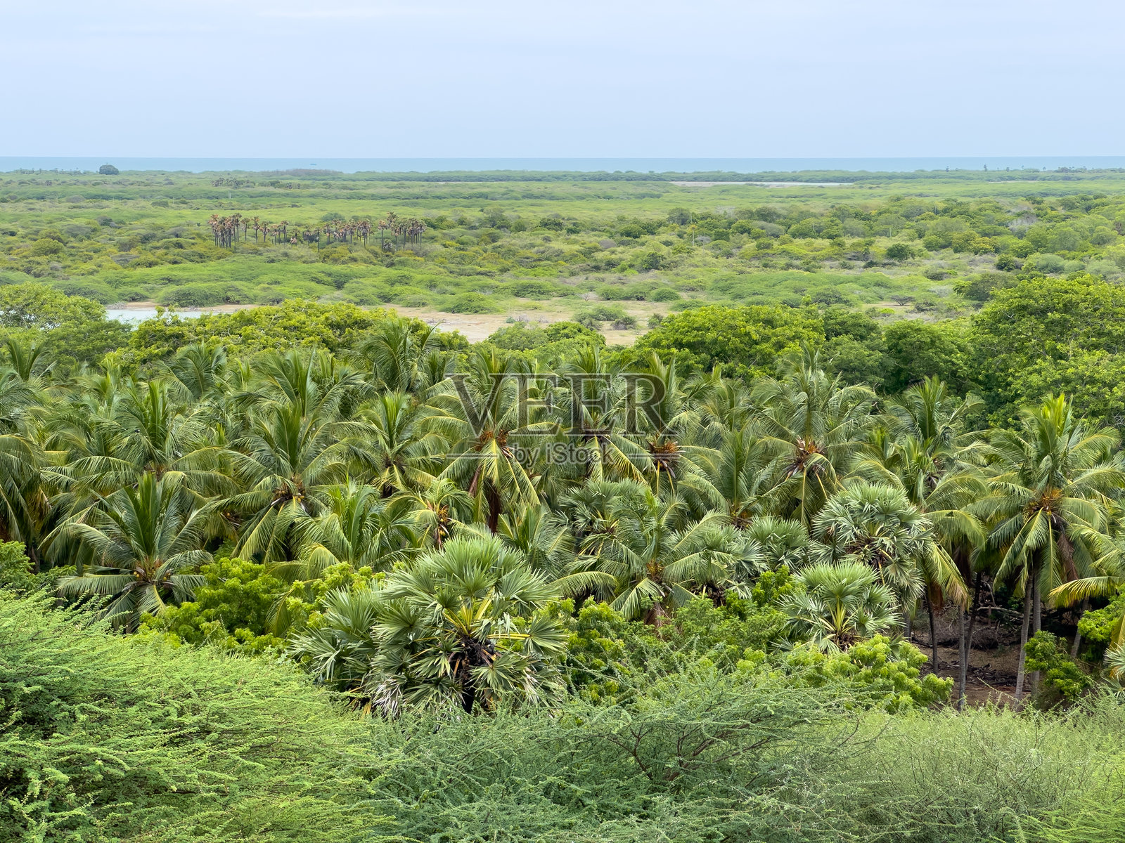 拉梅斯瓦拉姆,泰米尔纳德邦,拉马尔帕坦寺庙群周围的风景如画的景观照片摄影图片