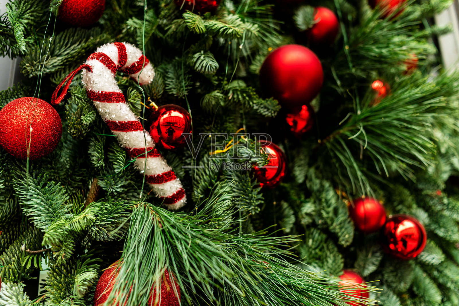 红白相间的糖果和其他圣诞树装饰品照片摄影图片