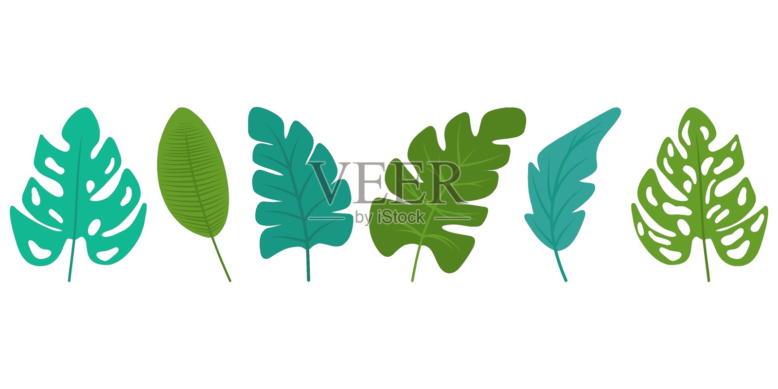 绿色叶子组合,不同的叶子。手绘矢量植物。适用于卡片、设计、邀请函和标志的叶子和植物插图。插画图片素材