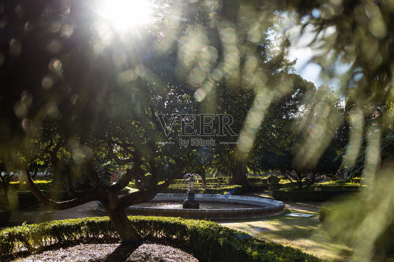 马拉加城堡供应商庭院花园中的小喷泉照片摄影图片