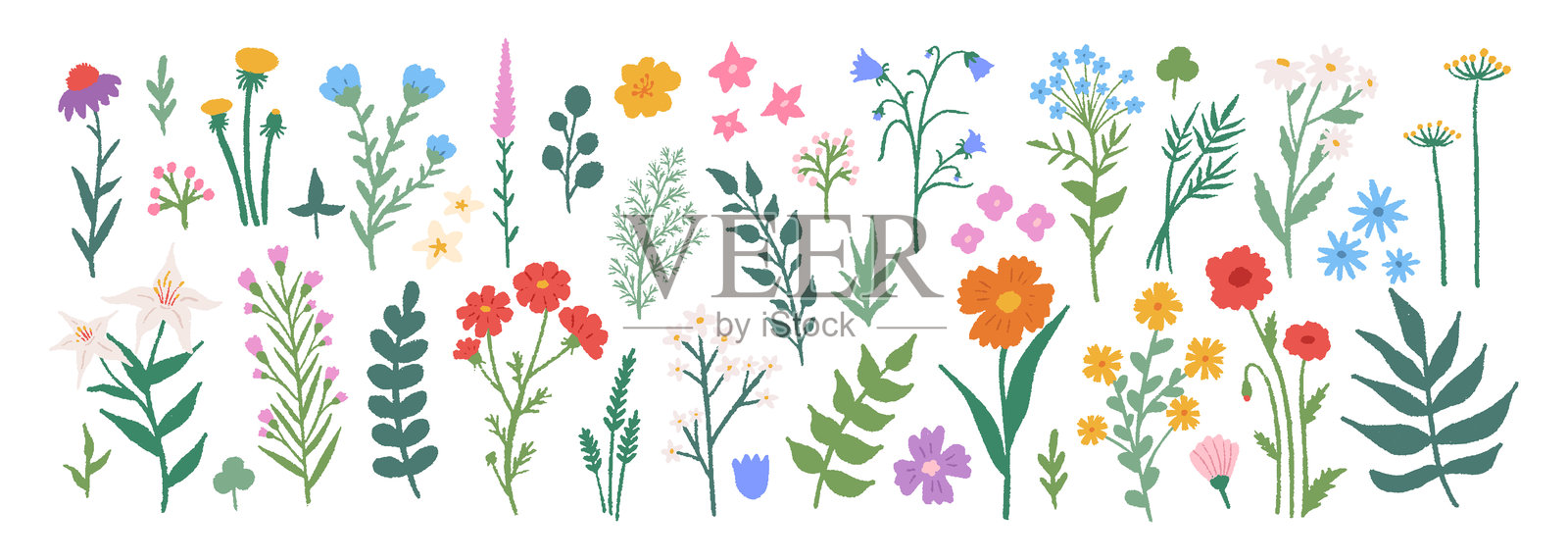 手绘铅笔花卉套装。可爱简单的彩色涂鸦艺术。野花、叶子枝条的花卉插图。用于装饰、复活节、贴纸、剪贴画和印刷的花朵插图。插画图片素材