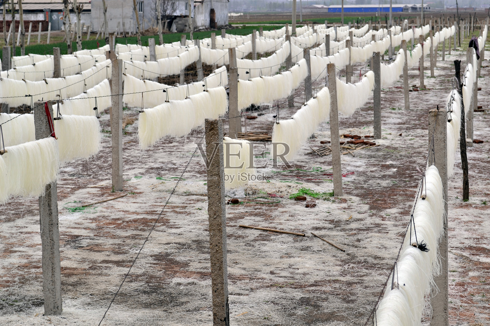 工厂中的粉丝加工照片摄影图片