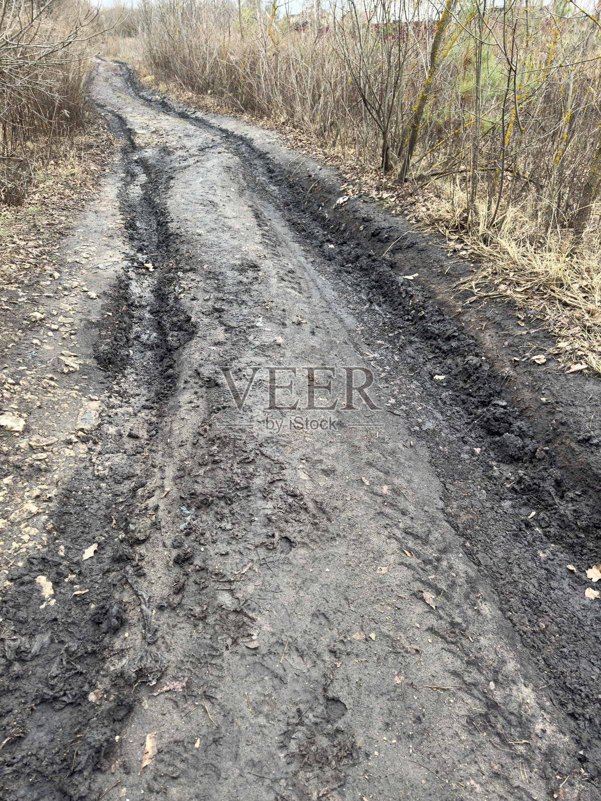 一条泥土路面覆盖着泥浆和杂物照片摄影图片