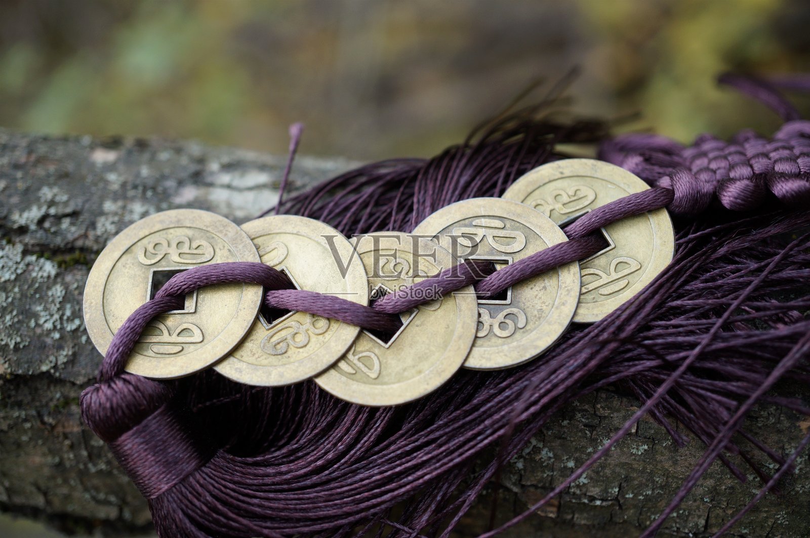 中国风水铜币特写在树皮上。照片摄影图片