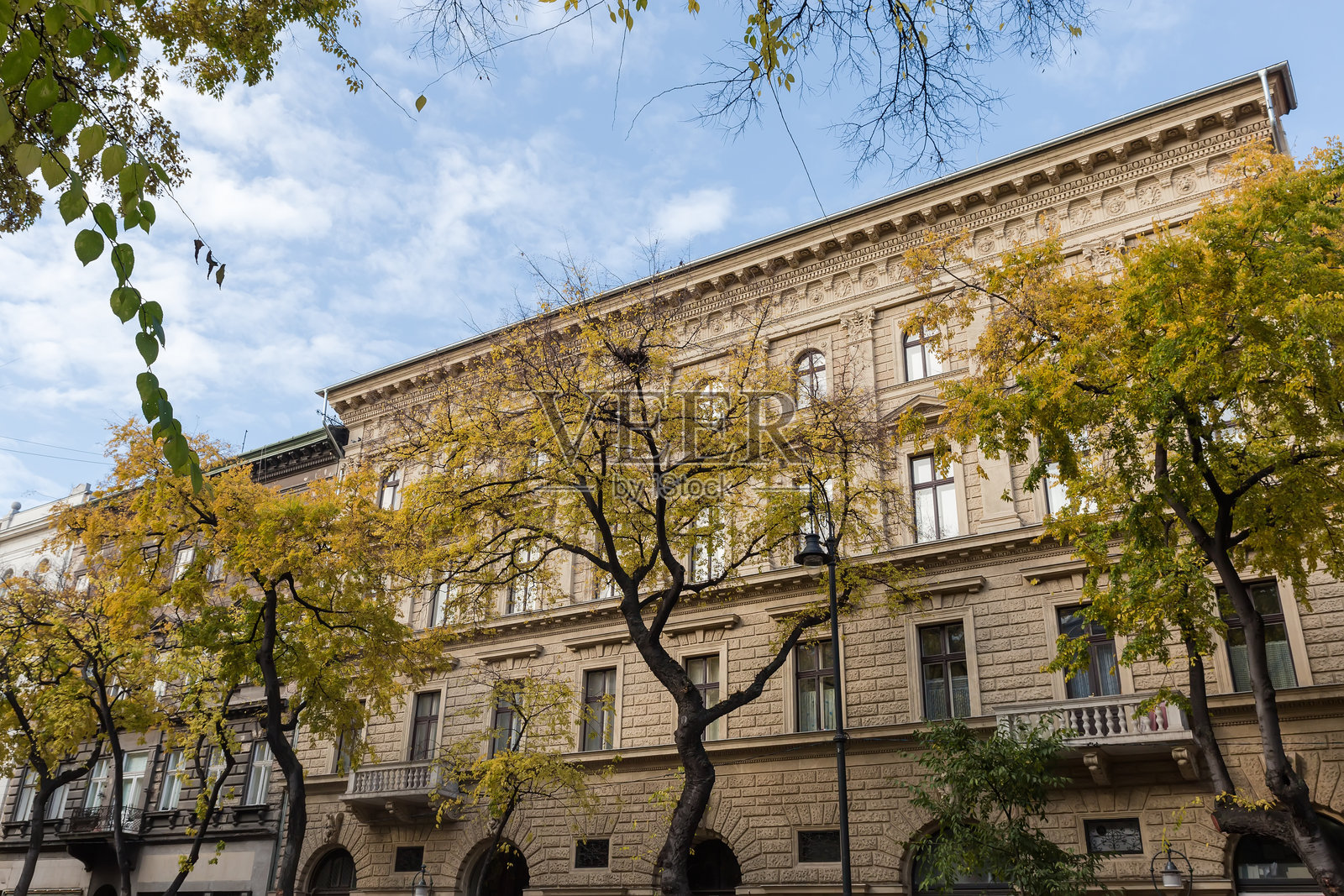 城市街道上的老旧多层石建筑与树木照片摄影图片