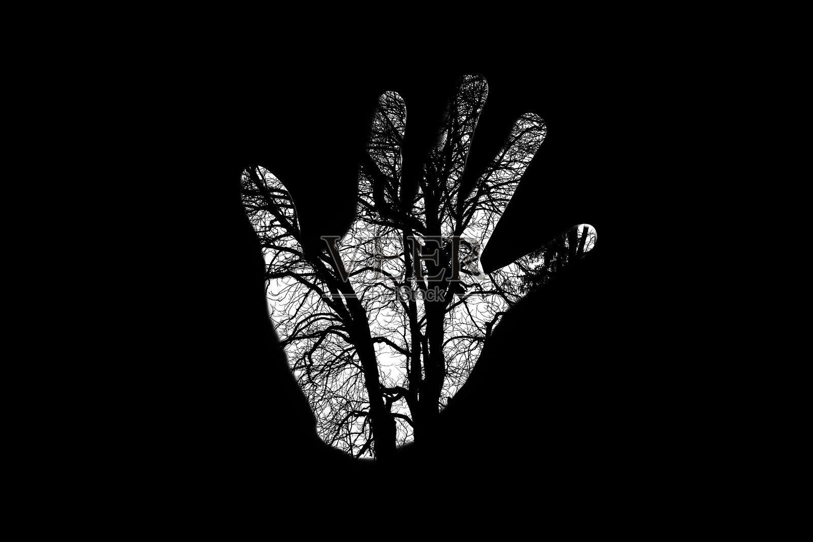 它保护并摧毁。照片摄影图片