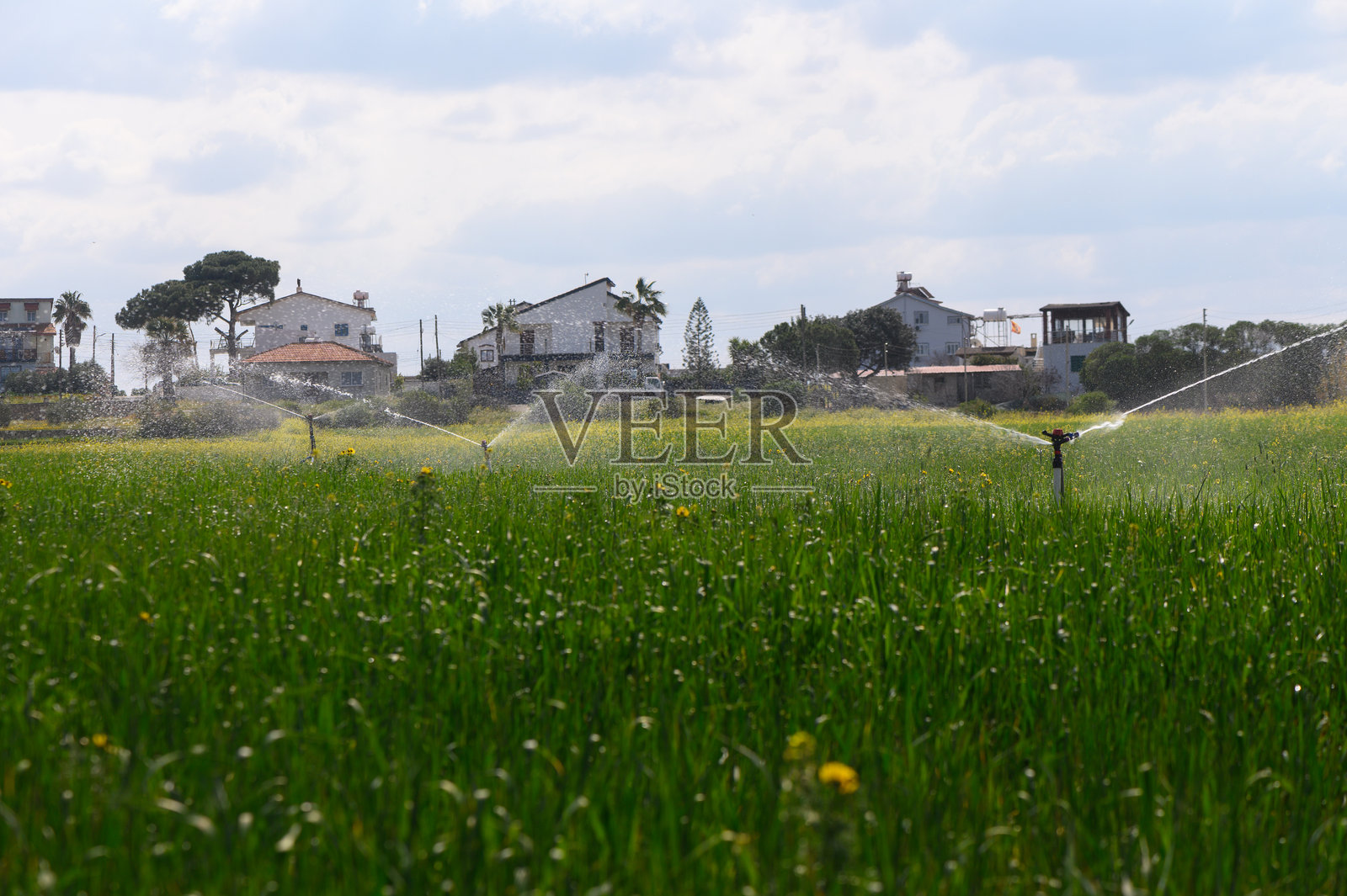 绿油油的田野在明亮的天空下闪闪发光,喷灌器舞动着,滋养着乡村附近古朴房屋旁的农作物。照片摄影图片