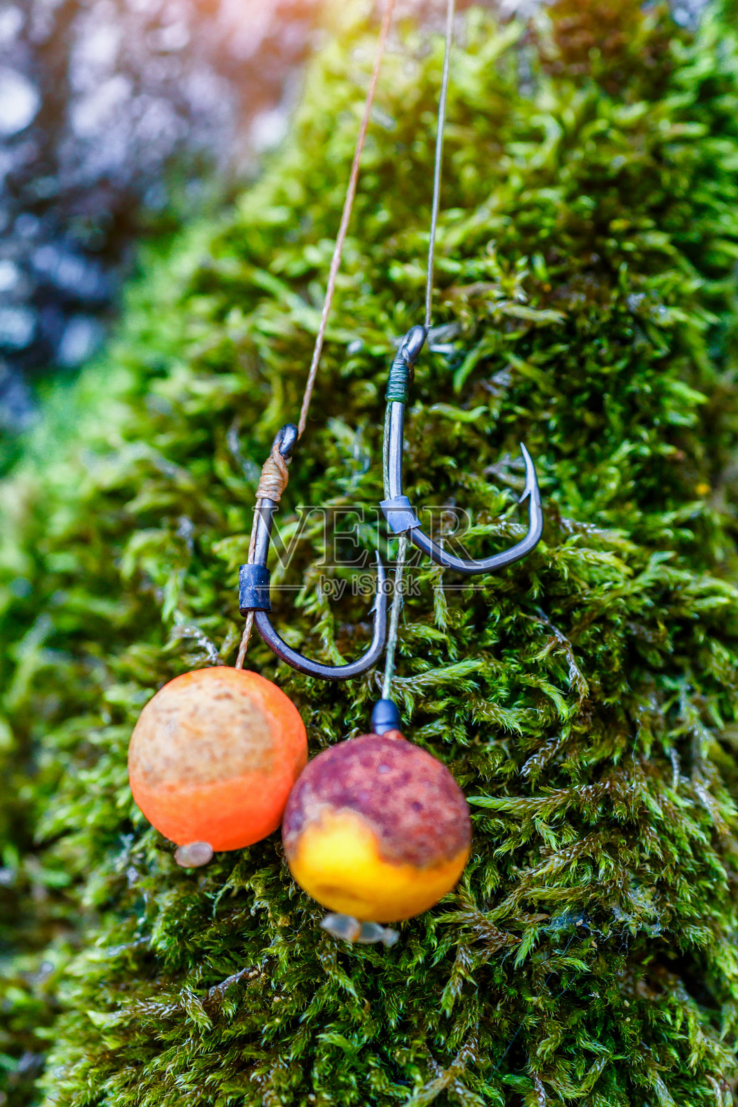 湖边的鲤鱼垂钓活动。鲤鱼钩。鲤鱼钓具。用于鲤鱼钓鱼的圆形饵料。照片摄影图片