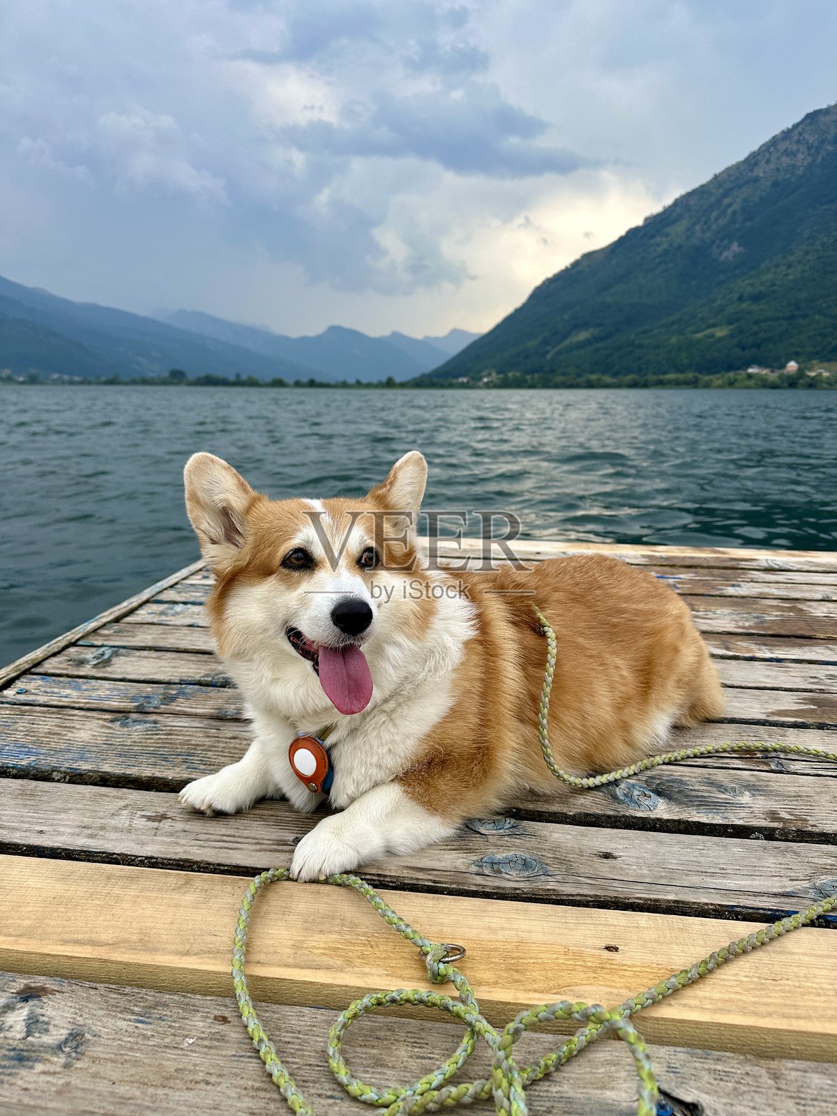 柯基犬躺在木栈道上,背景是山脉和湖泊。照片摄影图片