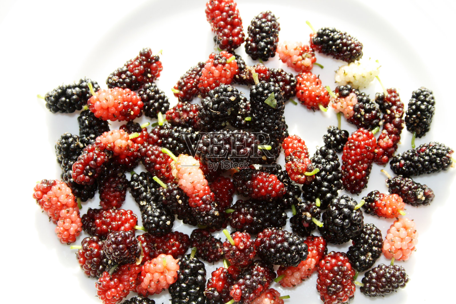 白盘中的普通桑果(Morus alba)。照片摄影图片