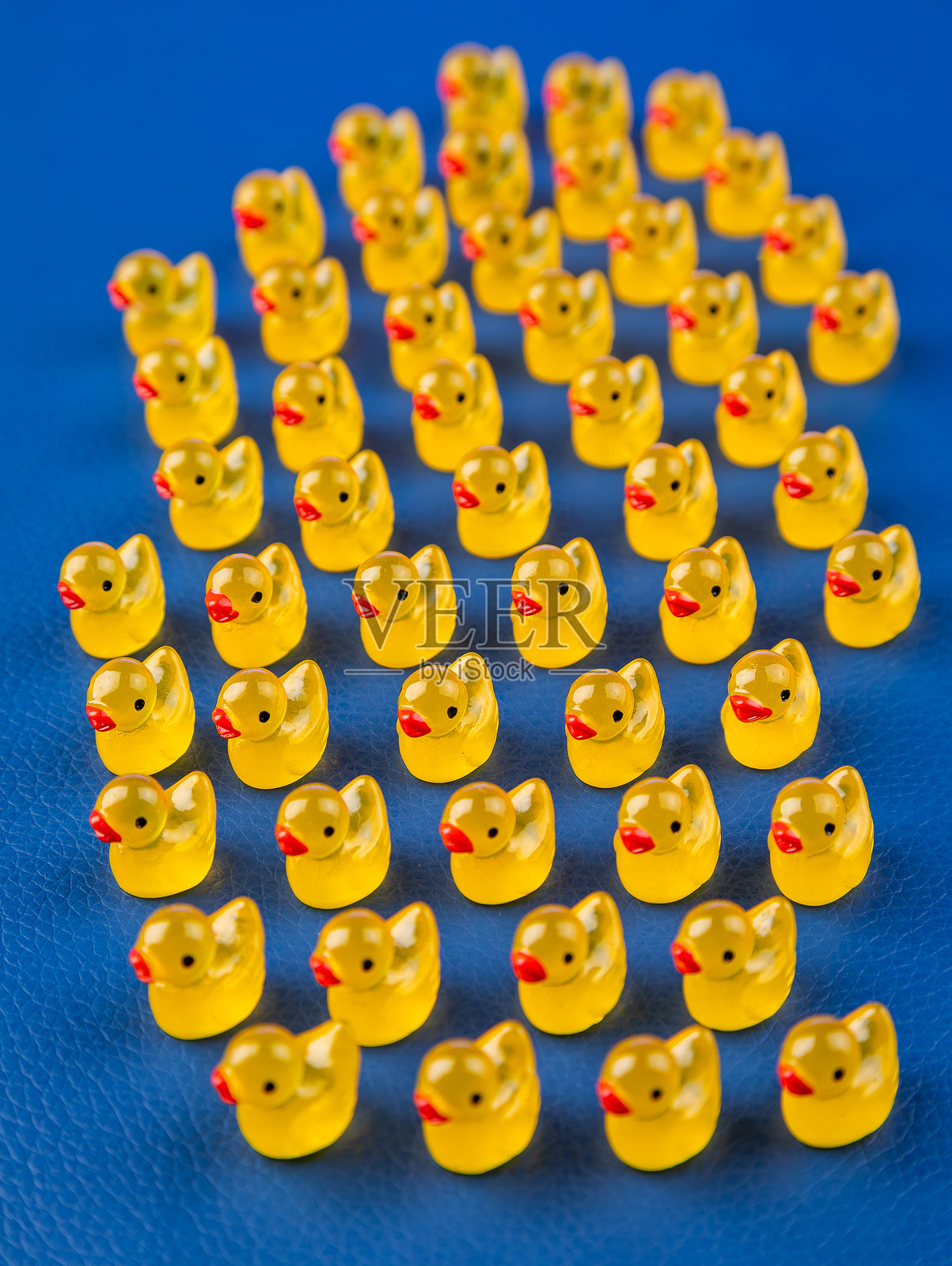 特写镜头照片摄影图片