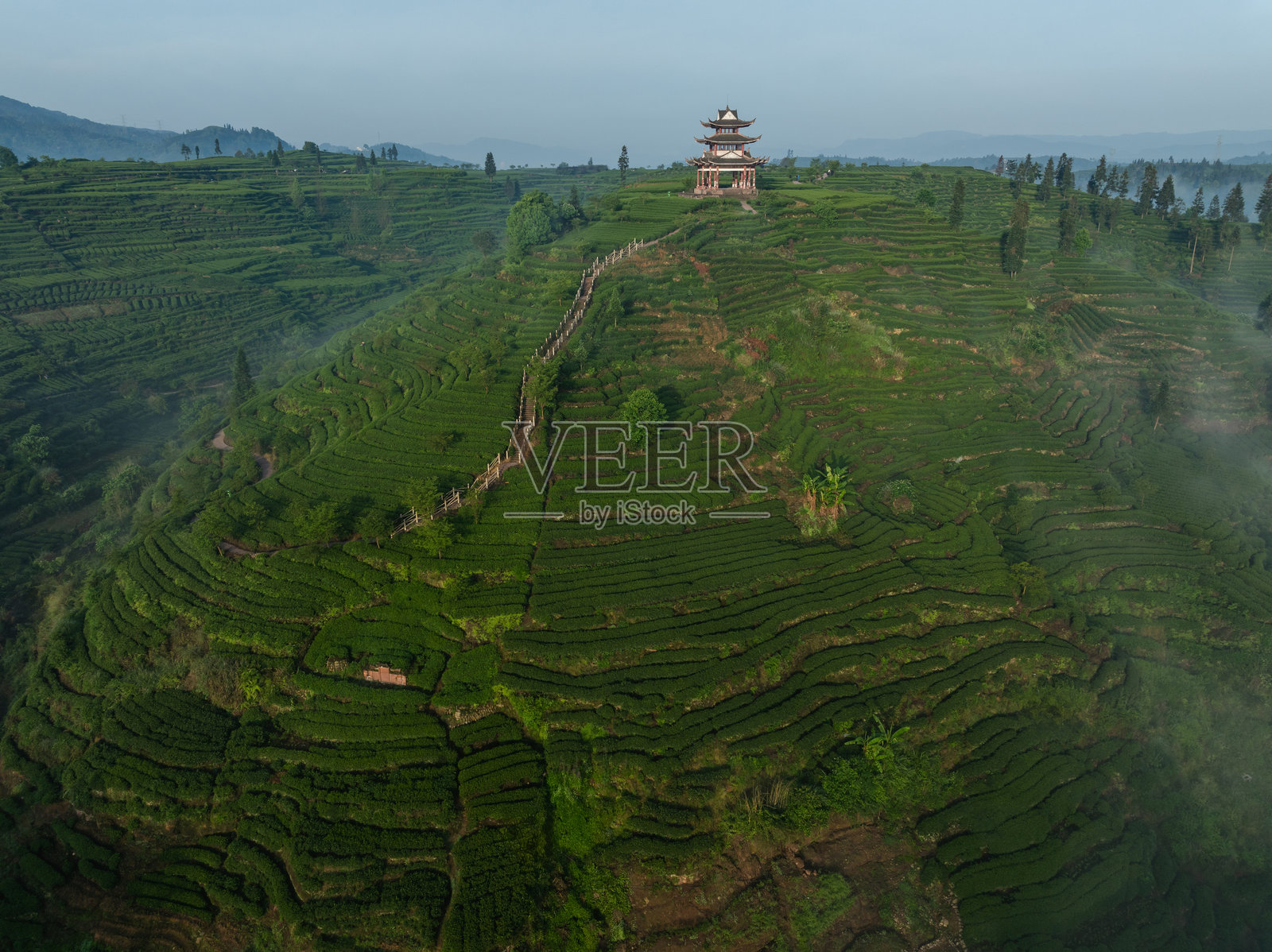 中国美丽的茶园景观鸟瞰图照片摄影图片