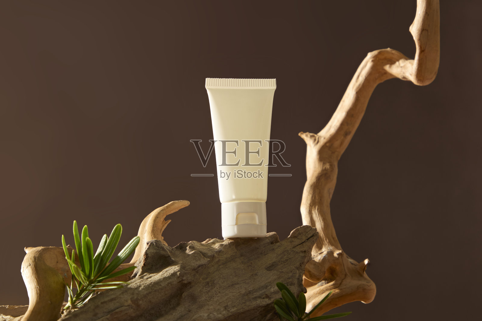 一支奶油管的模型放在沙漠的漂流木上,木头的边缘粗糙不平。浅棕色的树干弯曲,带有尖锐的刺和明亮的脉络。沙漠灌木在树干周围生长。照片摄影图片