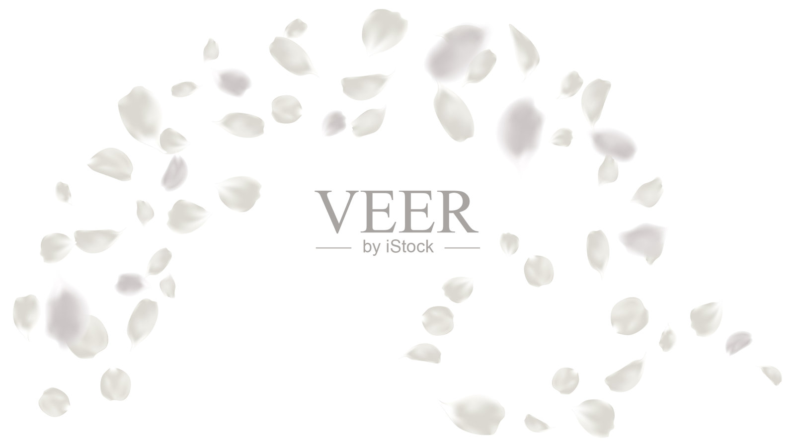 飞舞的真实玫瑰花瓣。爱情,浪漫,花卉春季。浅灰色。插画图片素材