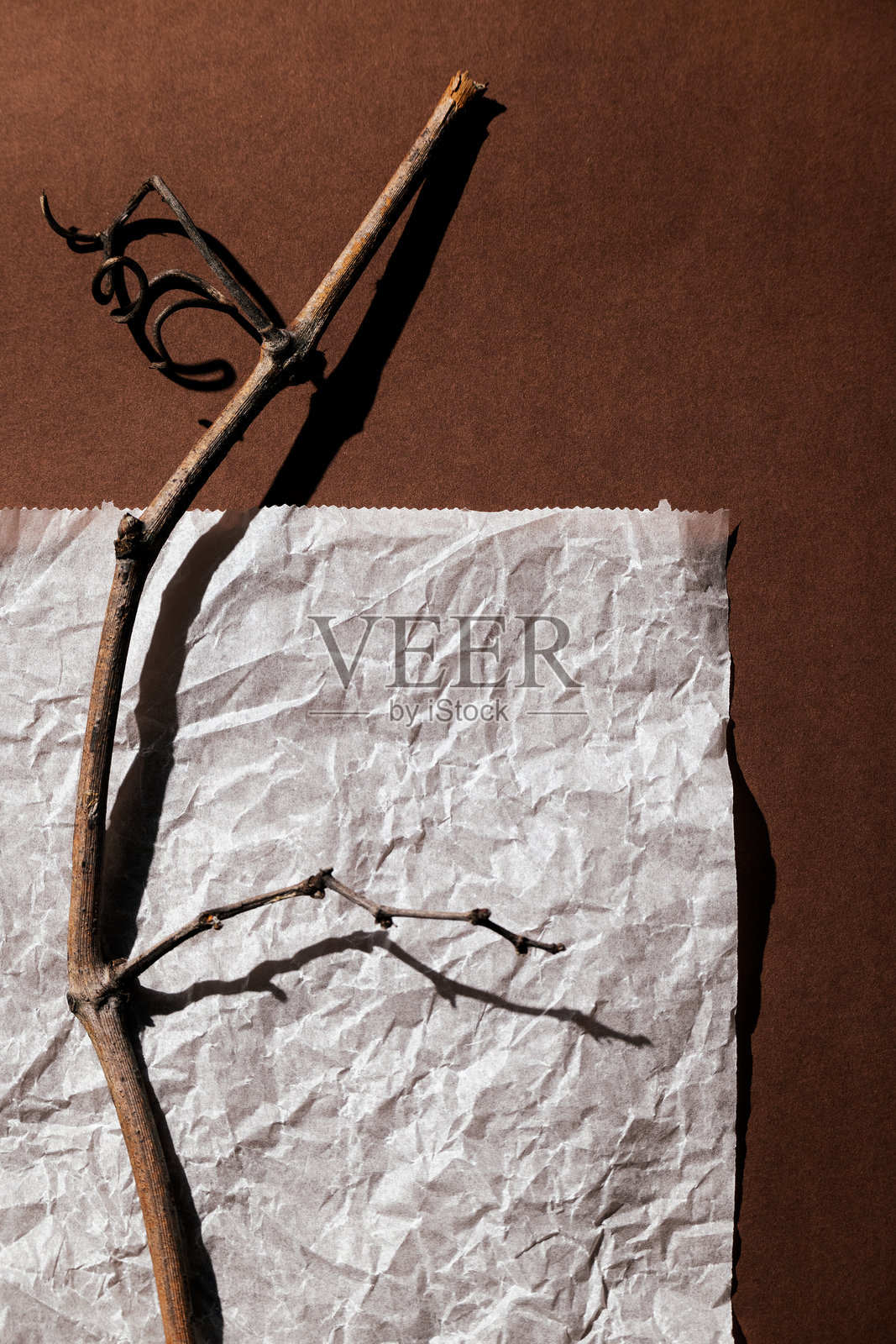 温暖的棕色背景上放着一张白色纸张和一根干枯的藤条。俯视图,舒适的极简风格,复古温暖色调,留有文字空间。照片摄影图片