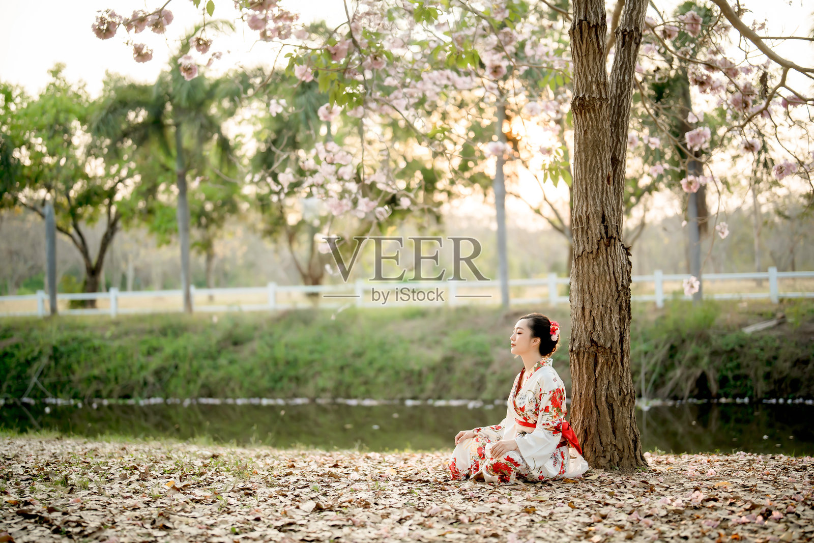 身穿传统花卉和服的亚洲女性在河岸盛开的樱花树下平静地冥想,夕阳下的宁静春季环境。照片摄影图片