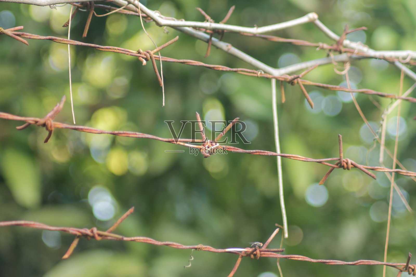 特写的铁丝网与模糊背景照片摄影图片