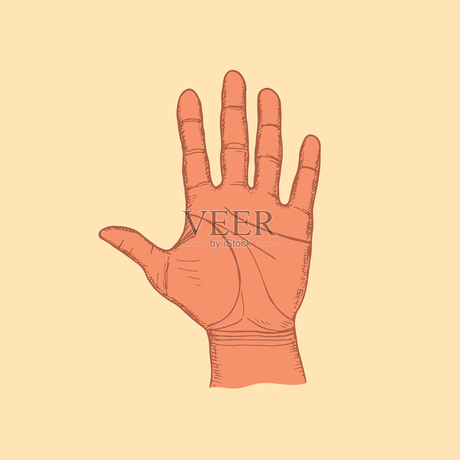 开放的手掌素描插图。手绘矢量线条艺术剪贴画,采用雕刻风格。插画图片素材