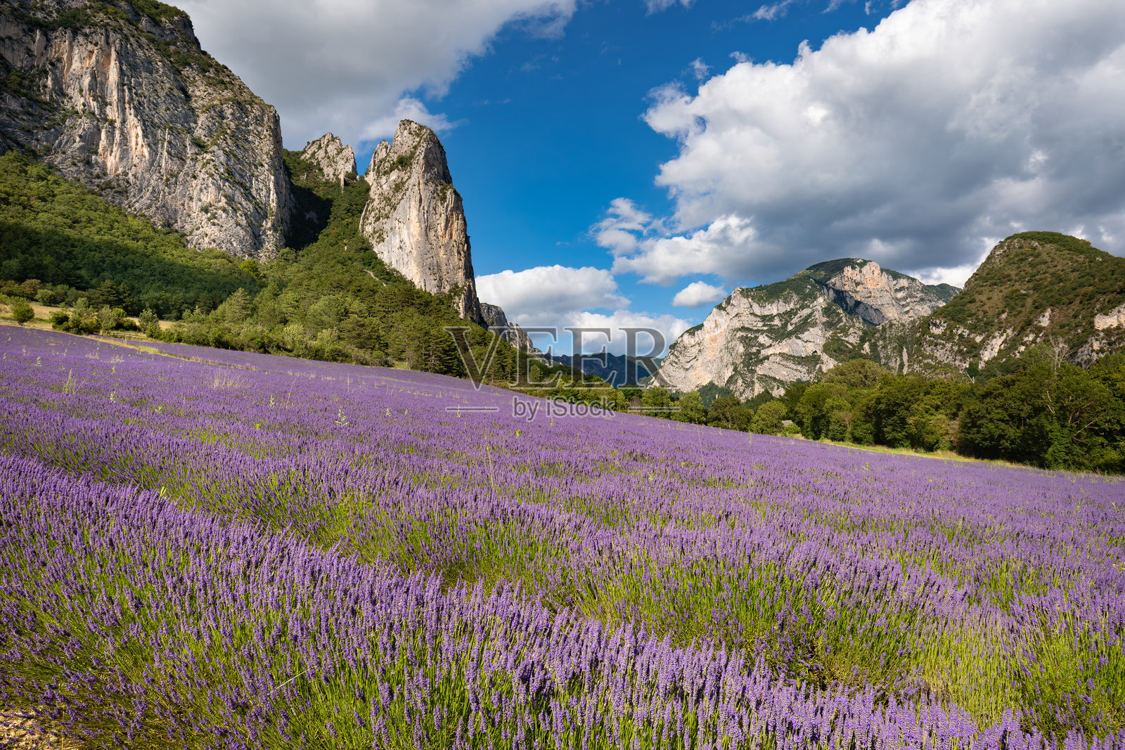 夏季的薰衣草田,山峰和云彩环绕着索村,位于法国德龙省。照片摄影图片