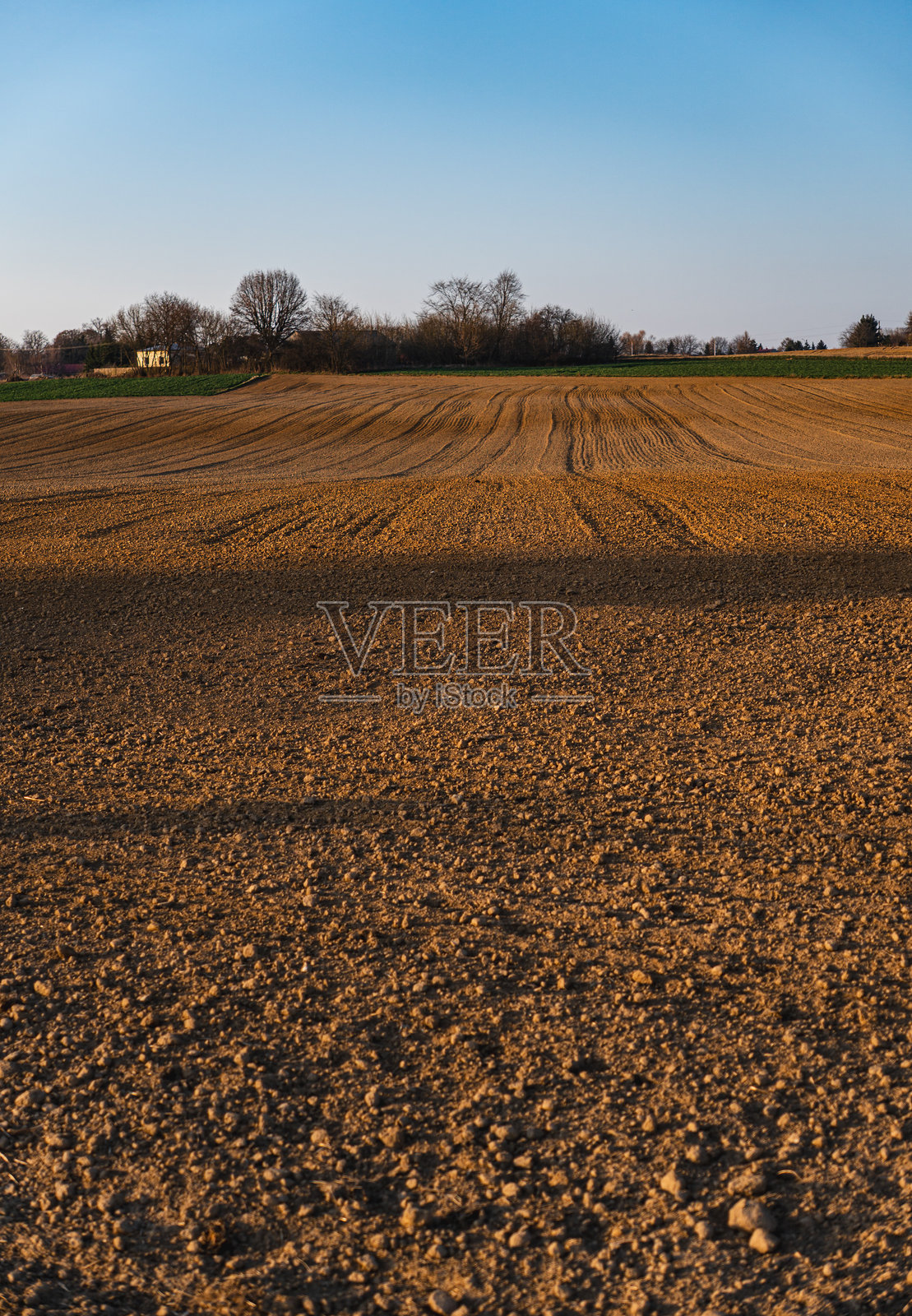 一个空旷的田野,正值阳光明媚的早春日落前夕照片摄影图片