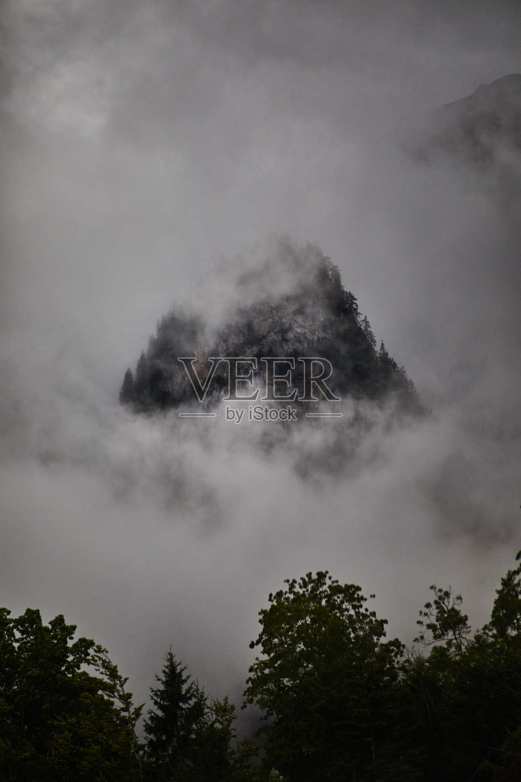 雾气弥漫的森林景观中显现的朦胧山脉照片摄影图片