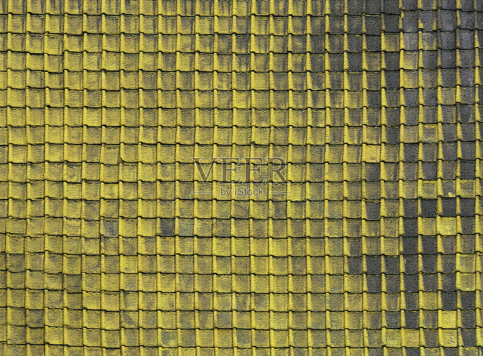 鲜艳的黄色苔藓覆盖在瓦片屋顶表面照片摄影图片