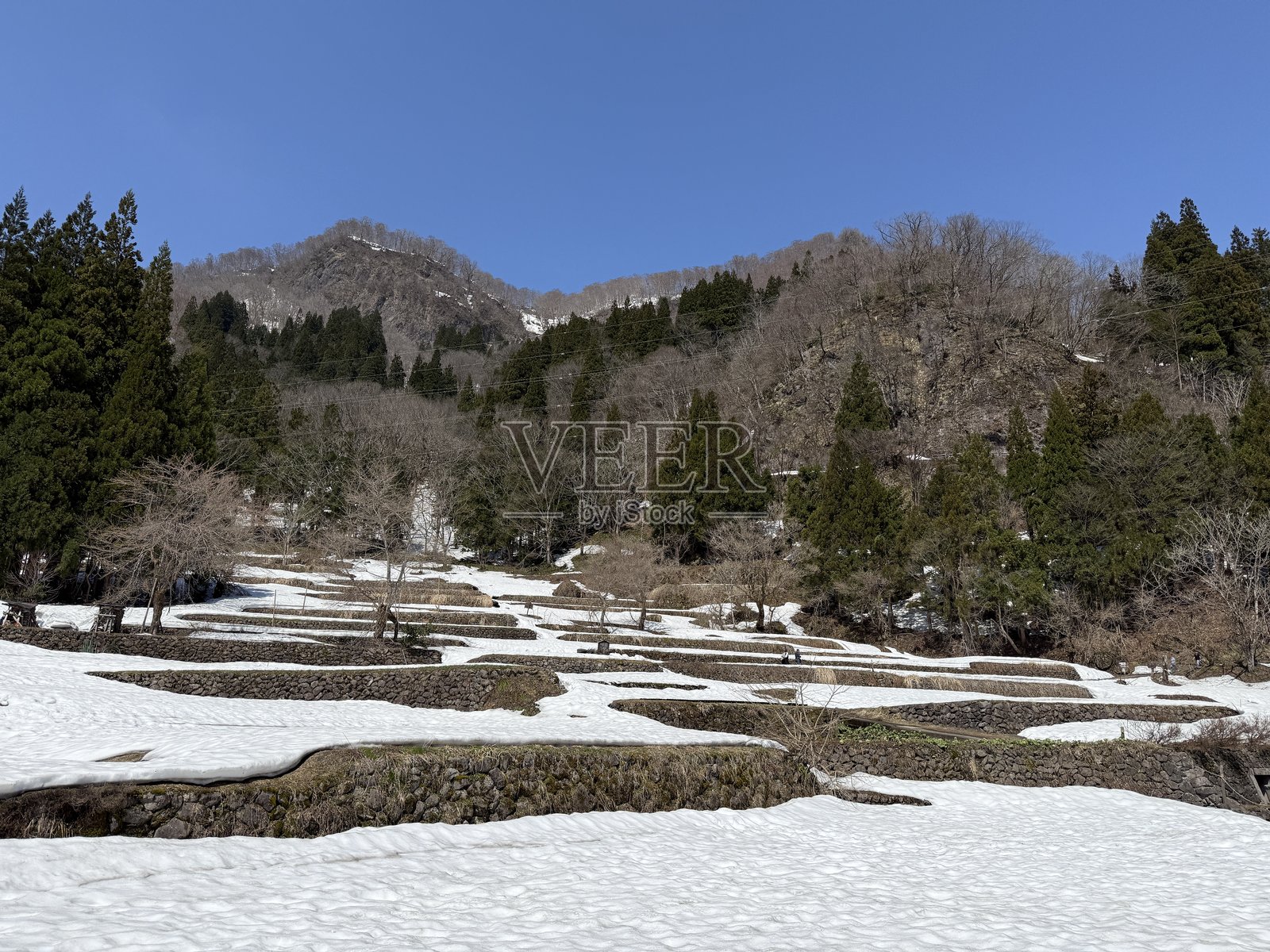合掌造り的房屋和宁静的乡村环境,位于日本岐阜县白川乡的五箇山中的小而美丽的村庄相倉。照片摄影图片