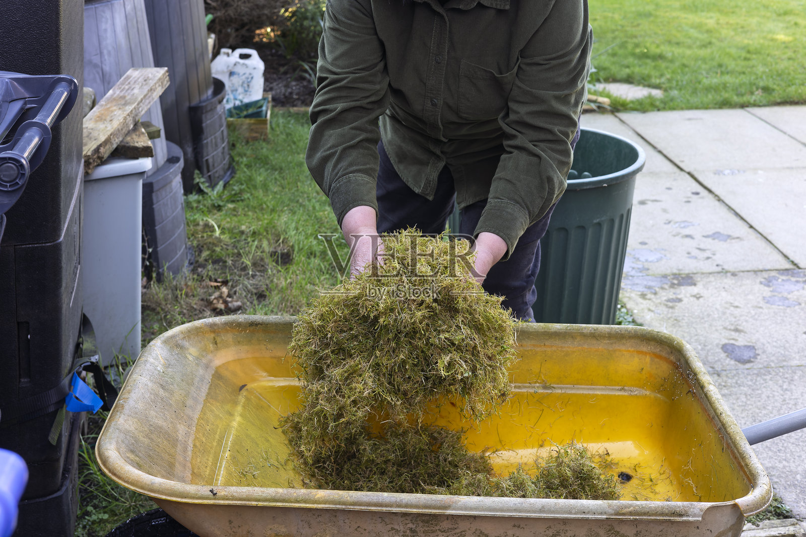 园丁将耙好的死苔藓和草坪草屑放入黄色的手推车中照片摄影图片