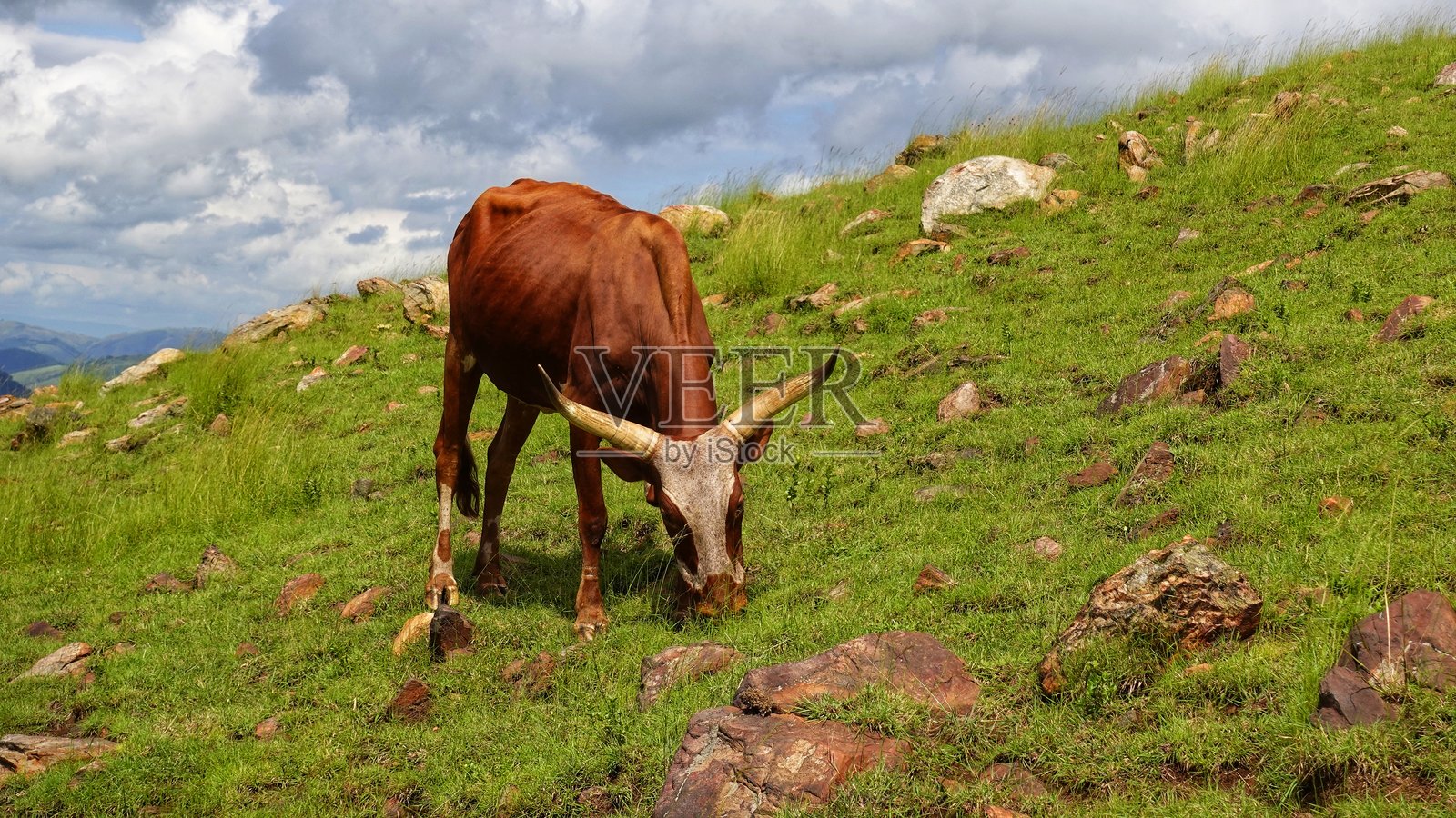 在坡道上浏览照片摄影图片