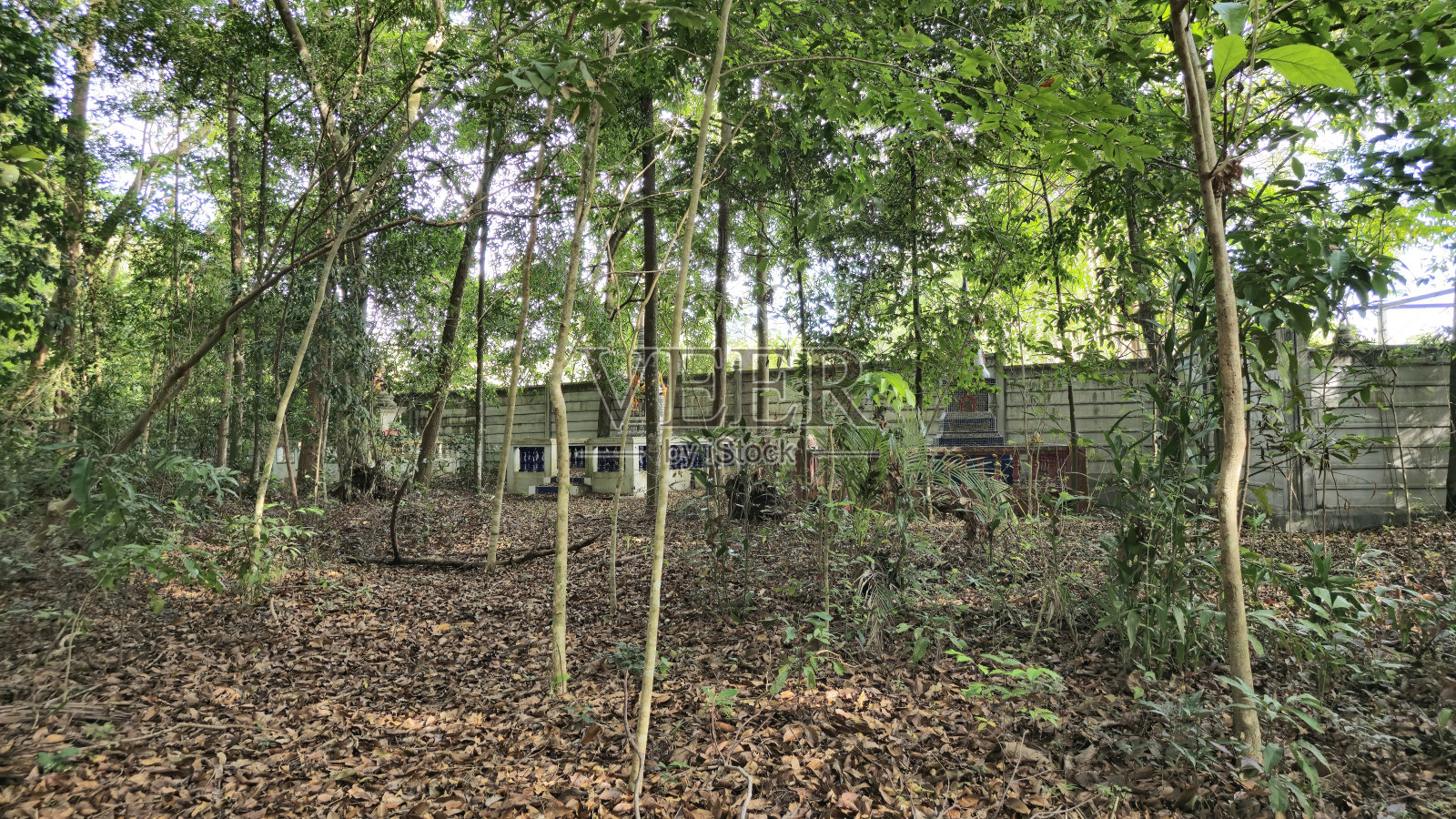 泰国美丽的湖泊。照片摄影图片