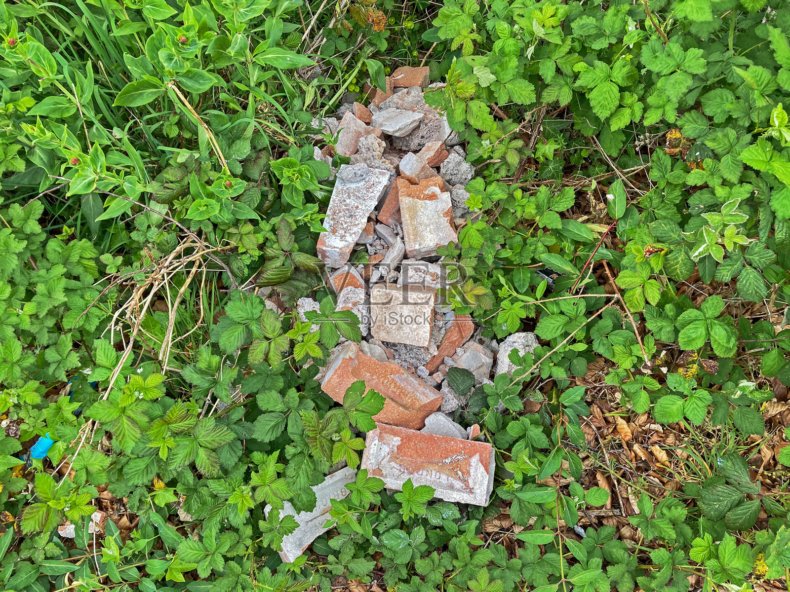 非法倾倒垃圾照片摄影图片