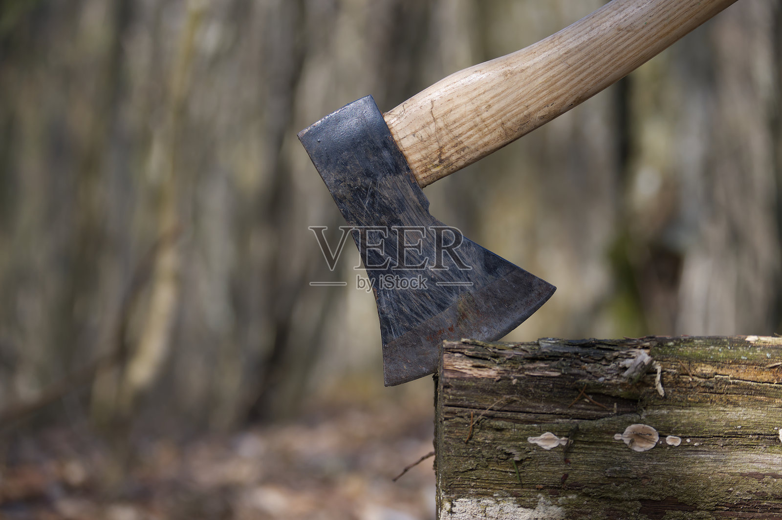 一把斧头深深嵌入一根风化的原木中,背景是模糊的森林。照片摄影图片