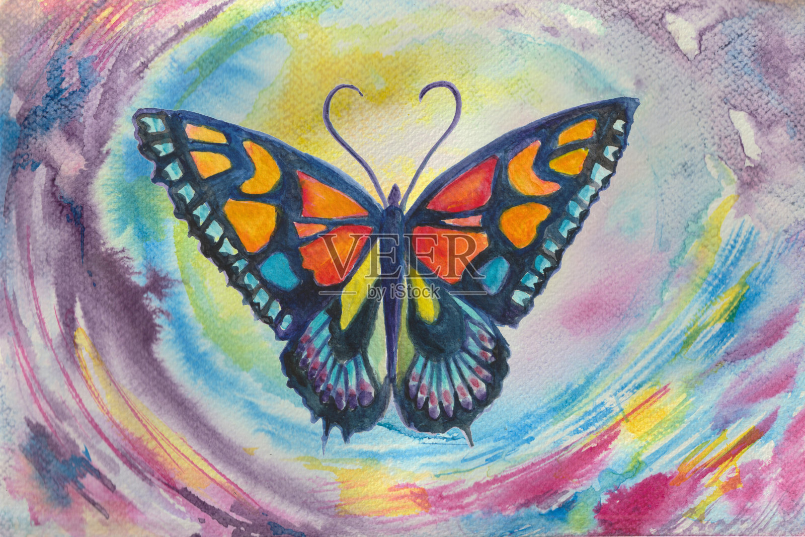 蝴蝶湾插画图片素材