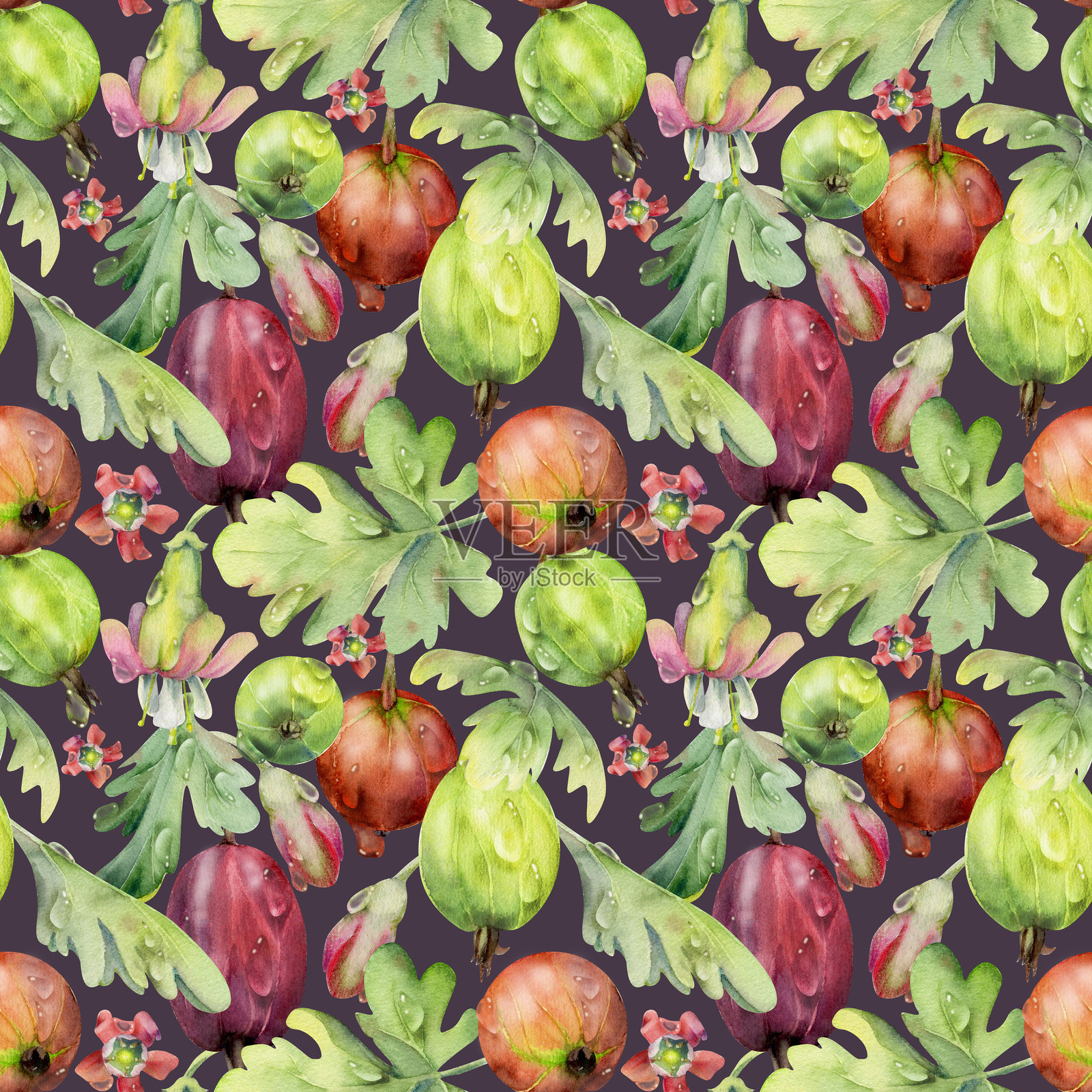 水彩手绘的醋栗、红醋栗、花朵和叶子散落在露水中的花园浆果。深色背景上的无缝图案。家居保存、食品商店装饰、礼品包装纸和纺织品。插画图片素材