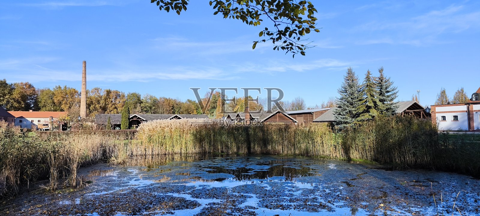 寒冷的池塘照片摄影图片