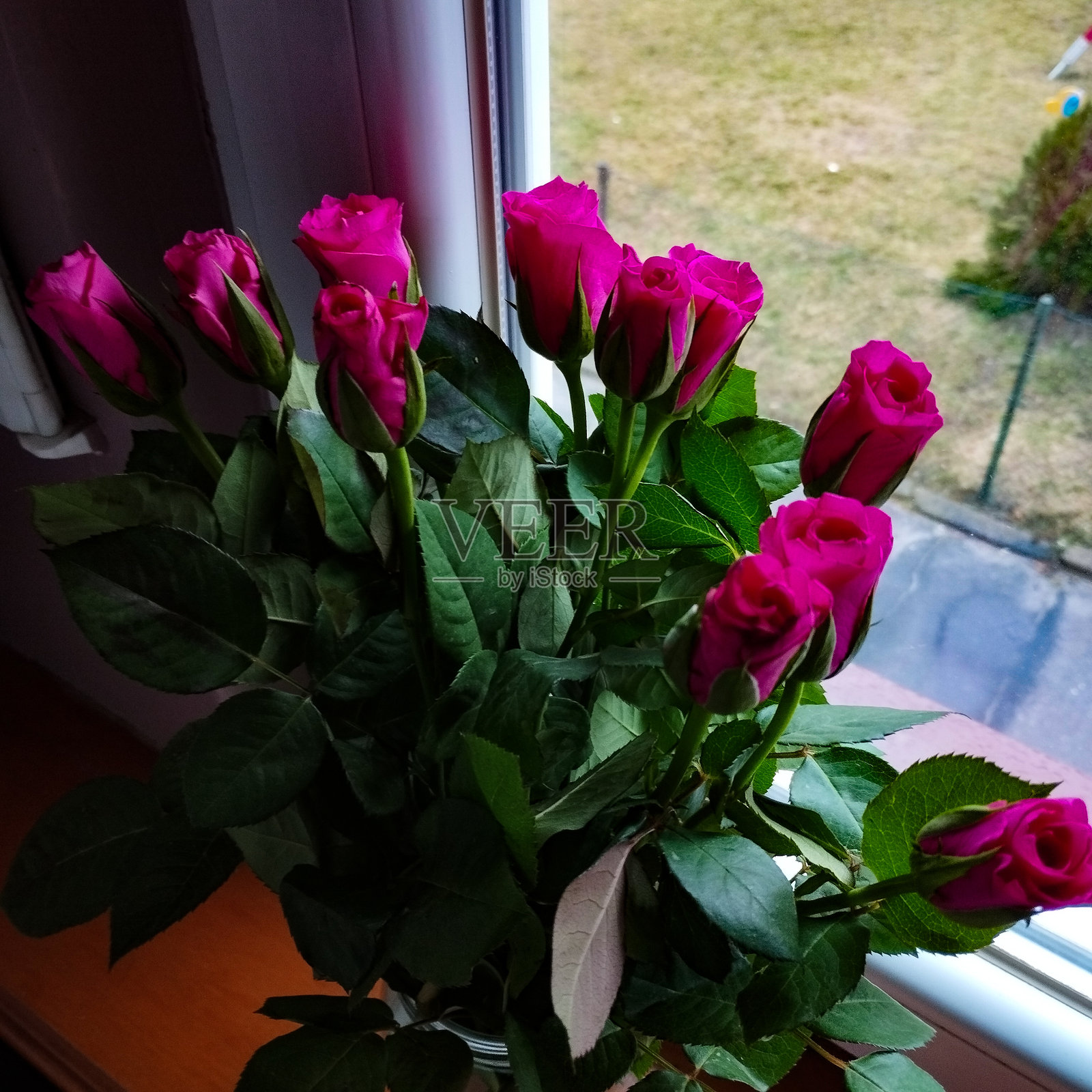 粉色玫瑰花束特写照片摄影图片