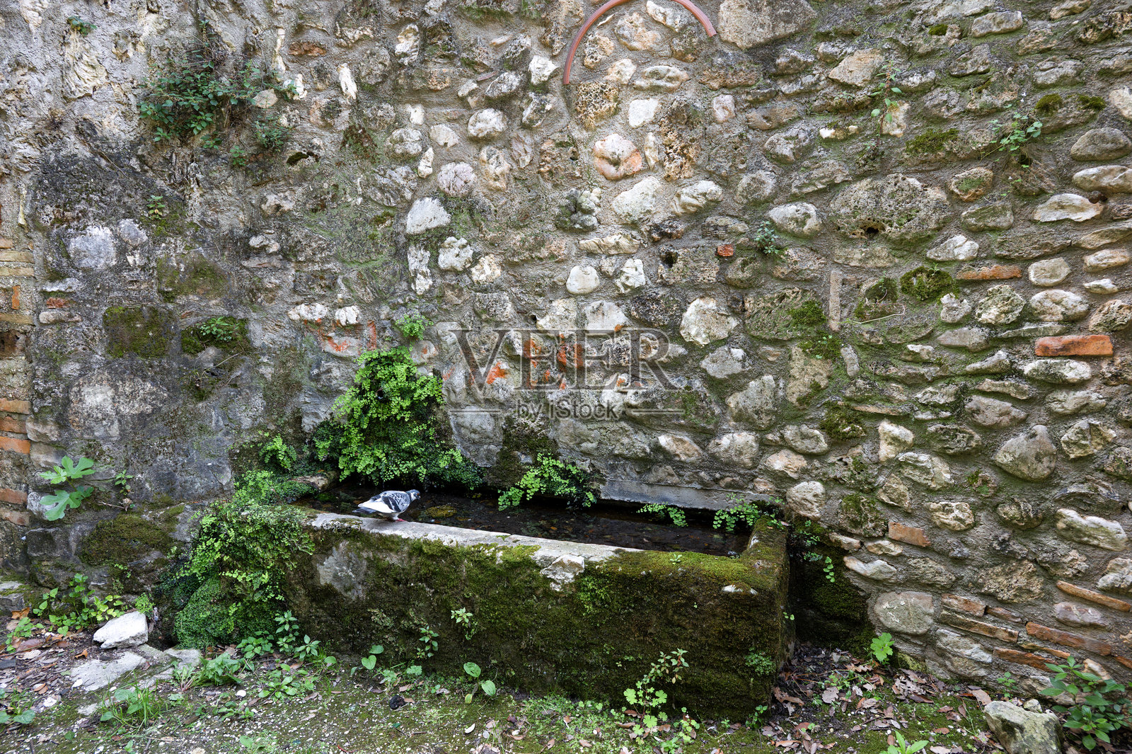 古老的喷泉照片摄影图片