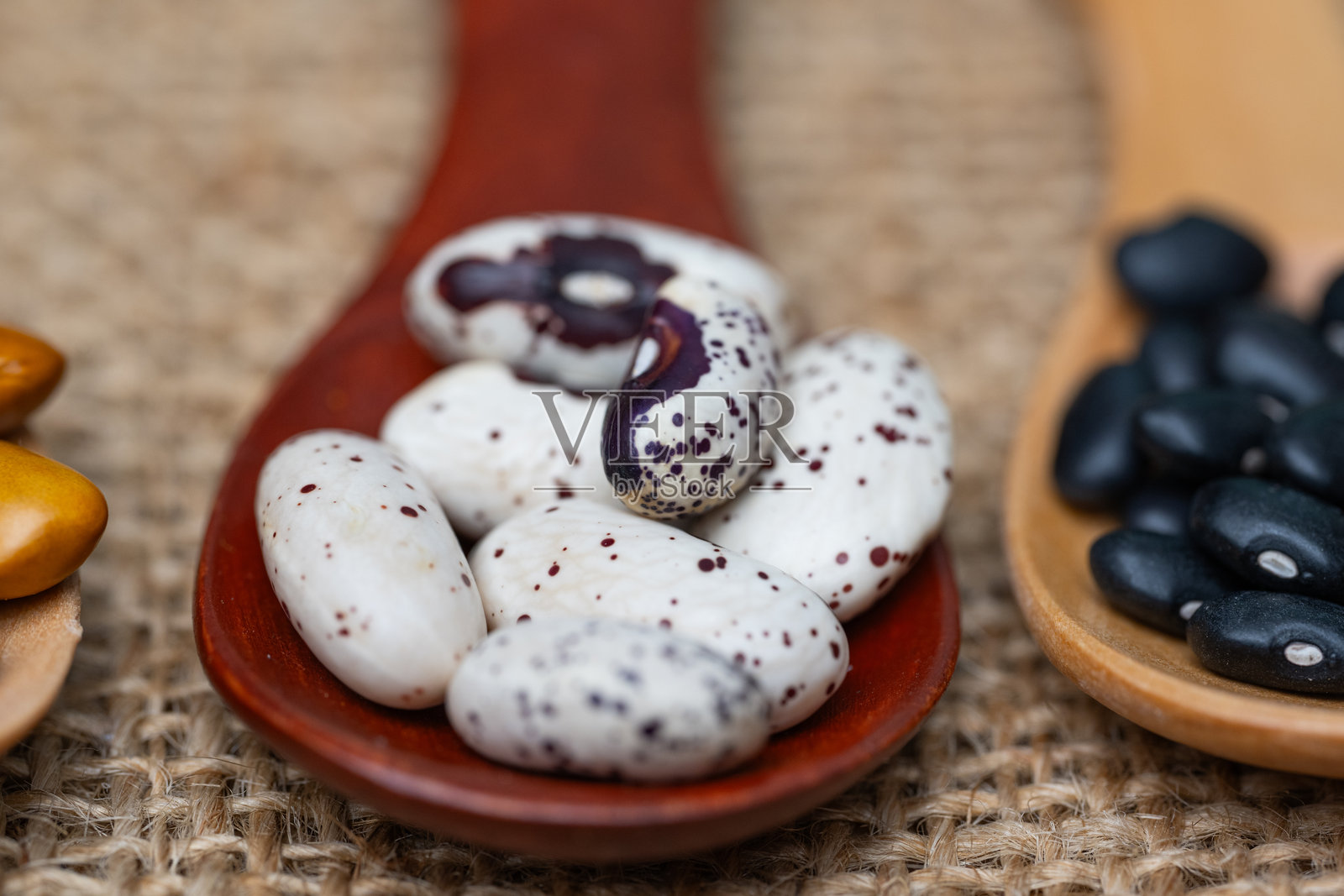 豆类的背景照片摄影图片