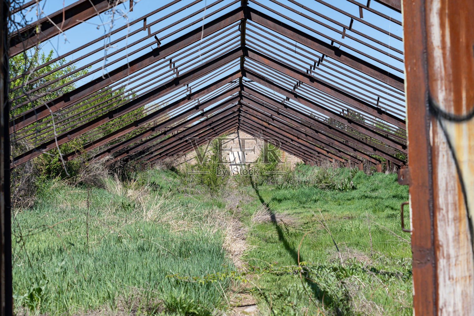 一座废弃的旧温室,只剩下生锈的金属框架和砖墙,被灌木和绿草覆盖。照片摄影图片