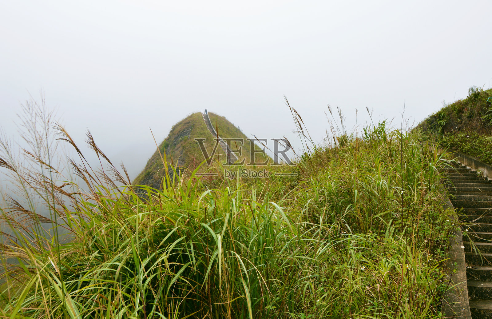 边有芦苇的宾流山恐龙脊背徒步小径照片摄影图片