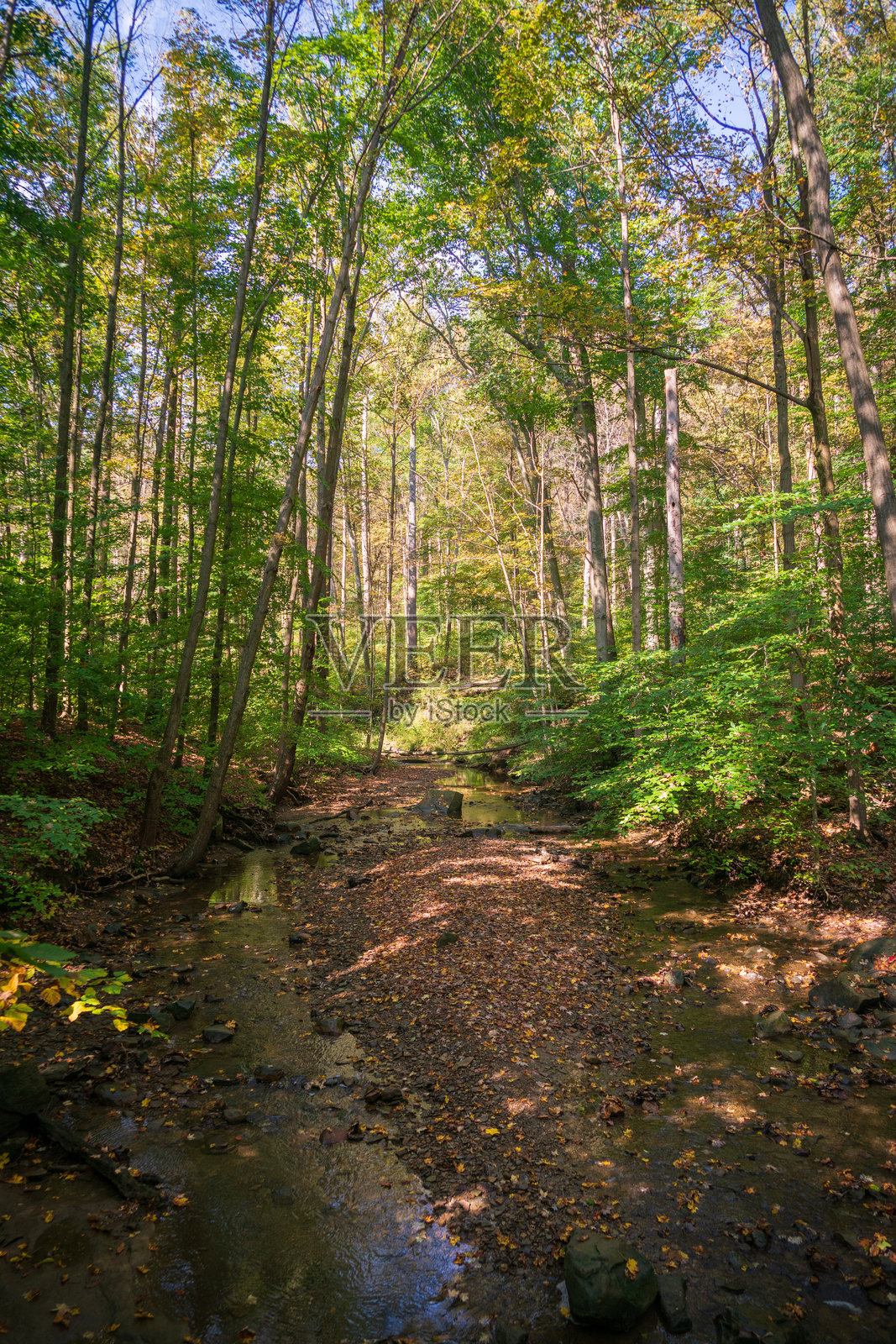 俄亥俄州凯霍加谷国家公园的小径照片摄影图片