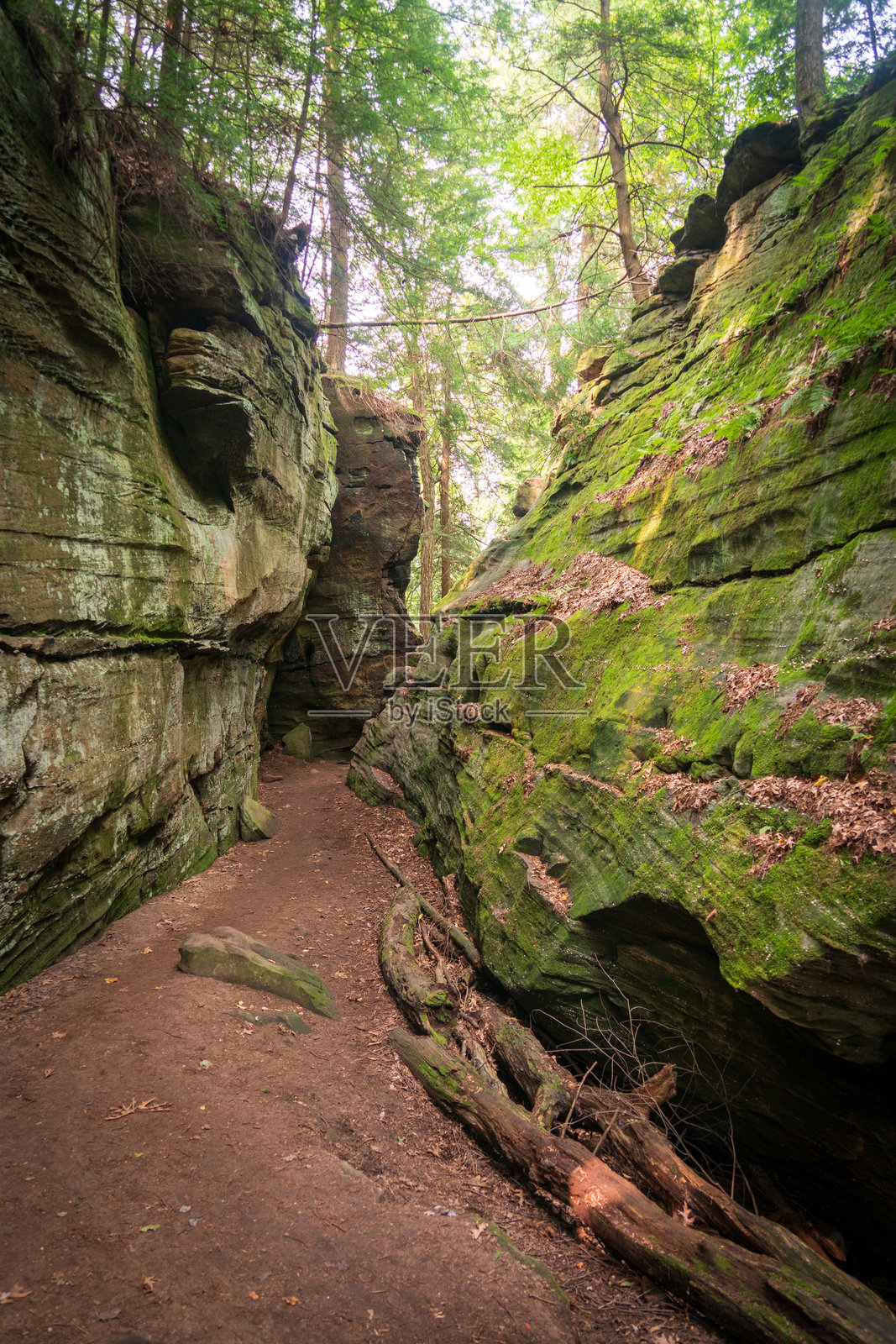 俄亥俄州凯霍加谷国家公园的岩石边缘照片摄影图片