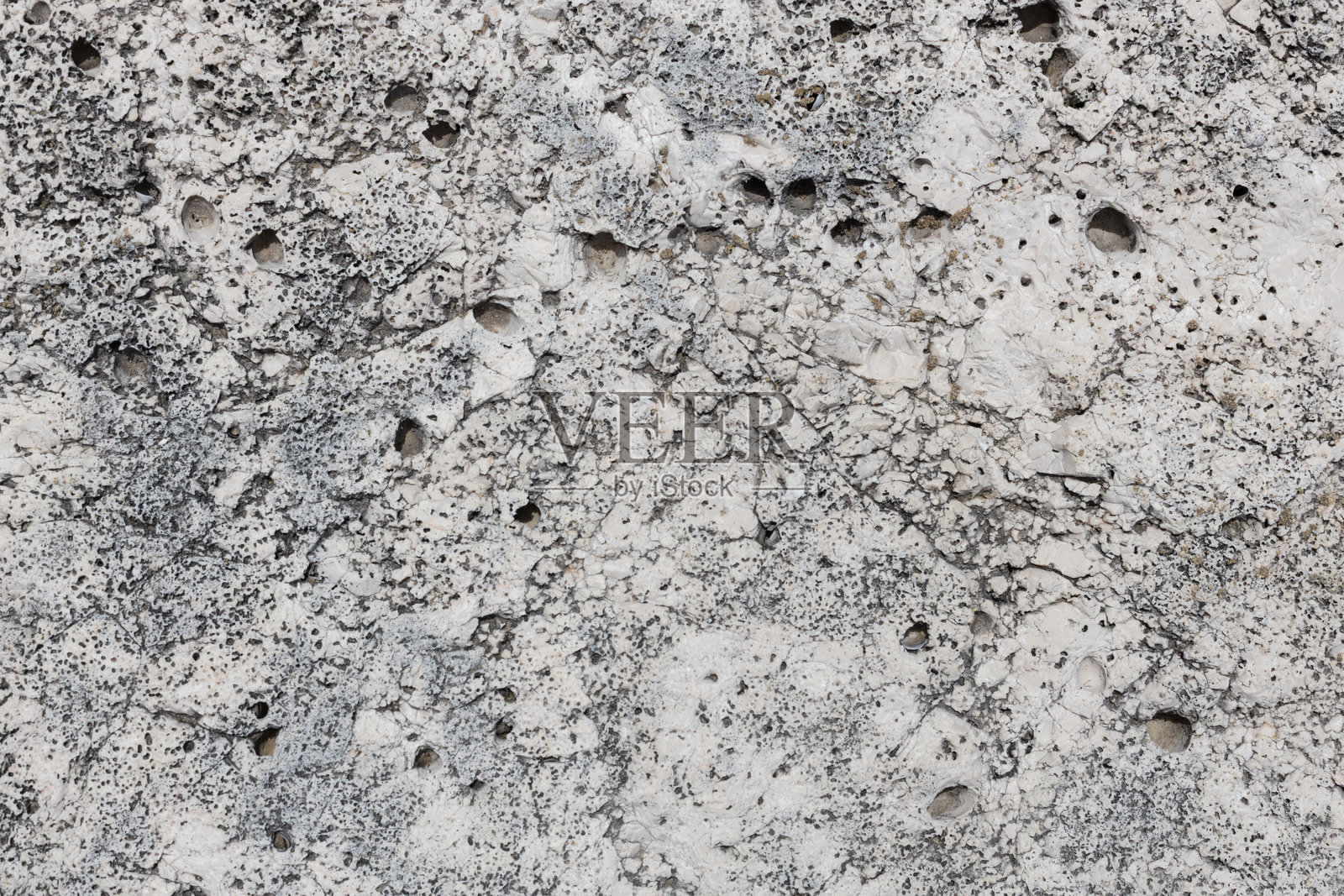 多孔的白色石灰岩,带有黑色斑点照片摄影图片